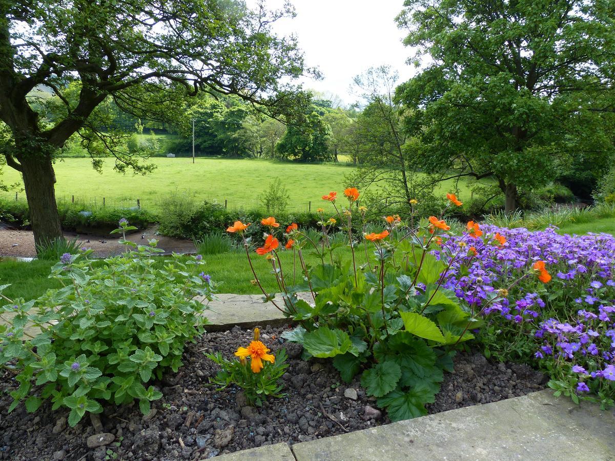 Bed and Breakfast Millbrook Penistone Exterior foto